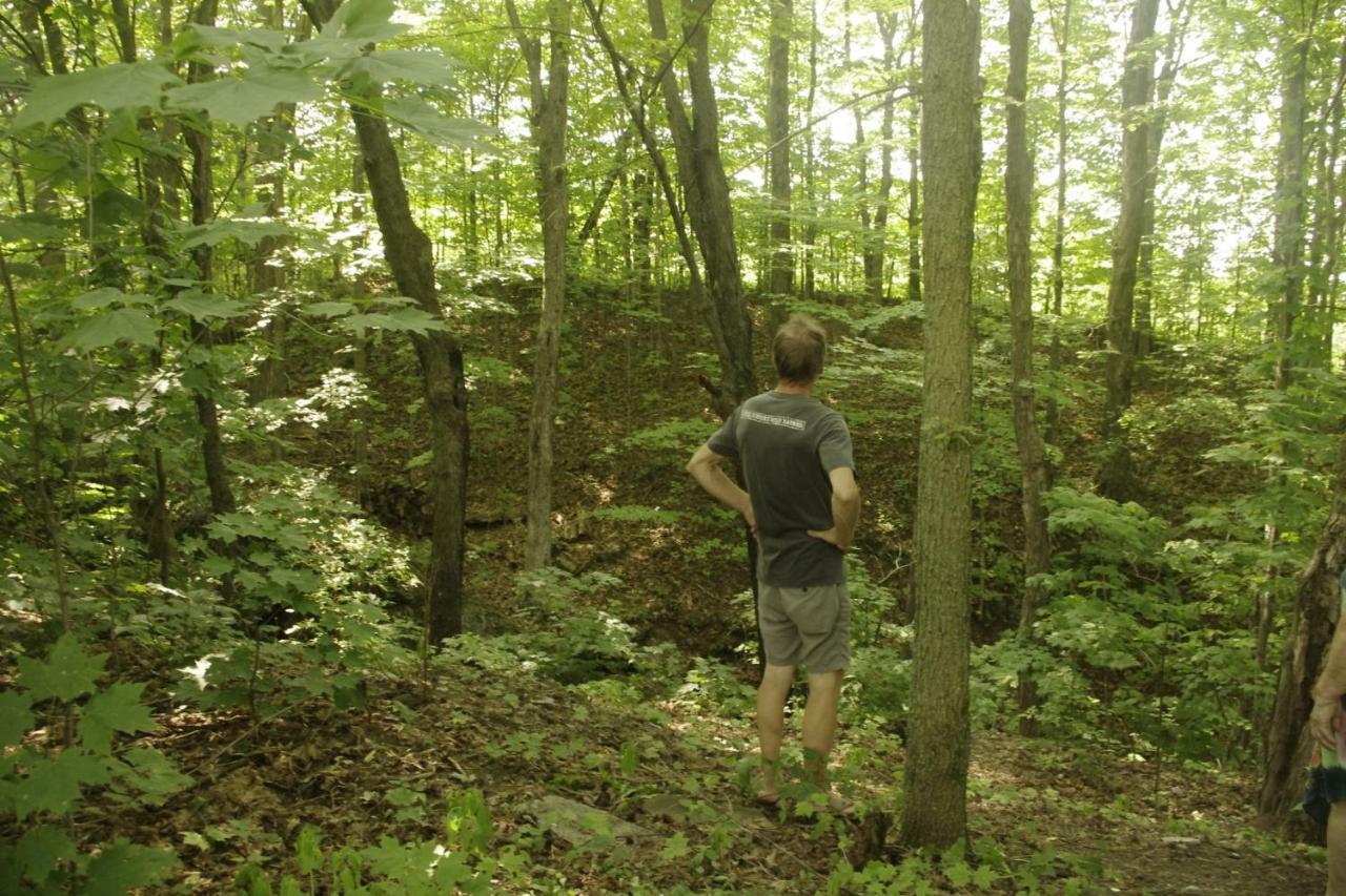 Gite Au Pied Des Appalaches Sainte-Sophie-D'Halifax 외부 사진
